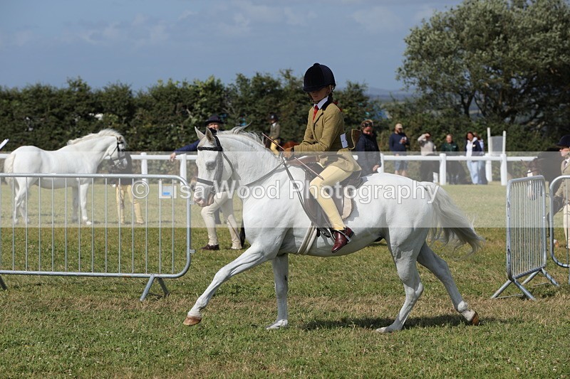 1X9A5768 - Class 40: NPS Welsh A & B