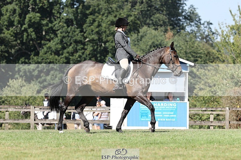 250823A-111111-27892 - Arena D