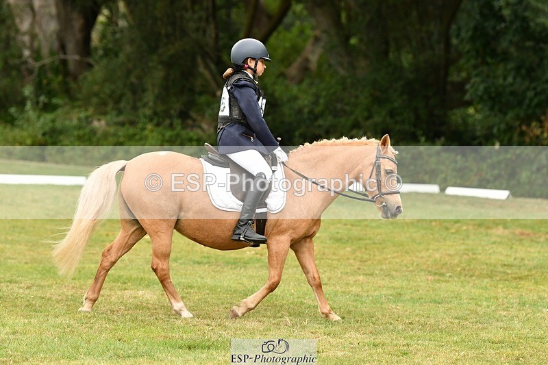 250820A-130615-05740 - 12 to 13.00