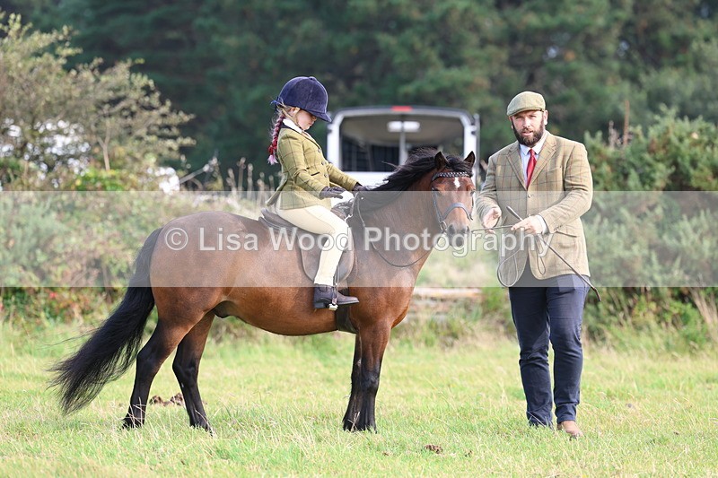 3E7A3565 - Class 2: Lead rein