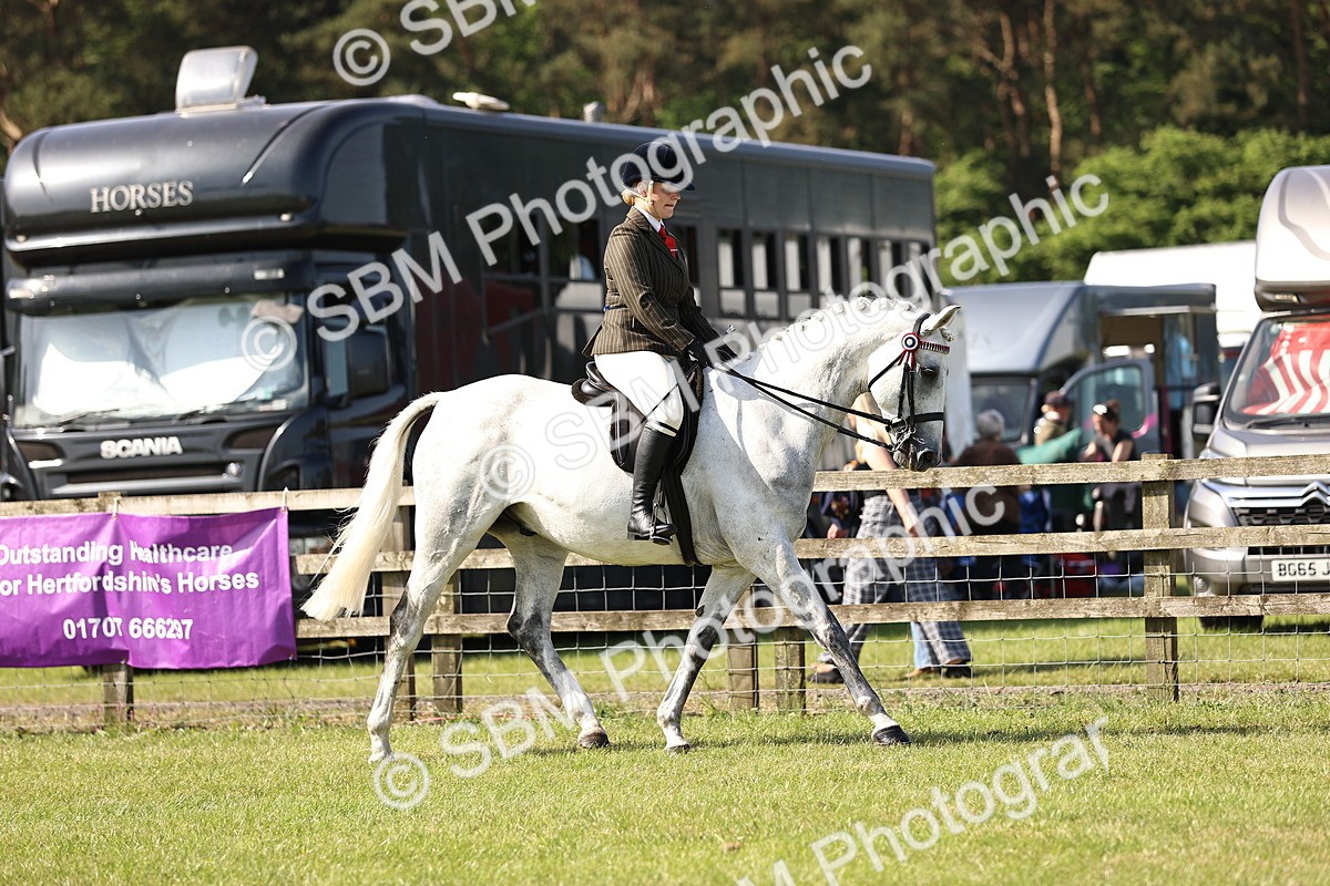 SBM_12884 - Class 75-76 LIHS BSHA Rising Star Hack Riding Horse
