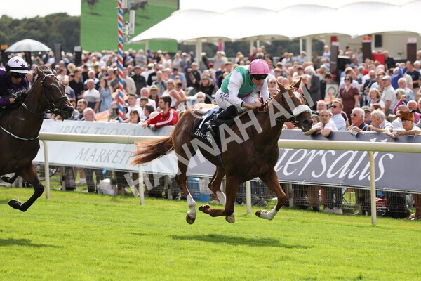 yr17082022r2-25 - Race 2 2.25pm Tattersalls Acomb Stakes