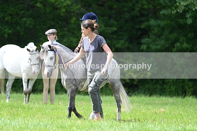 WJ7_1603 - Class 11 Condition & Turnout