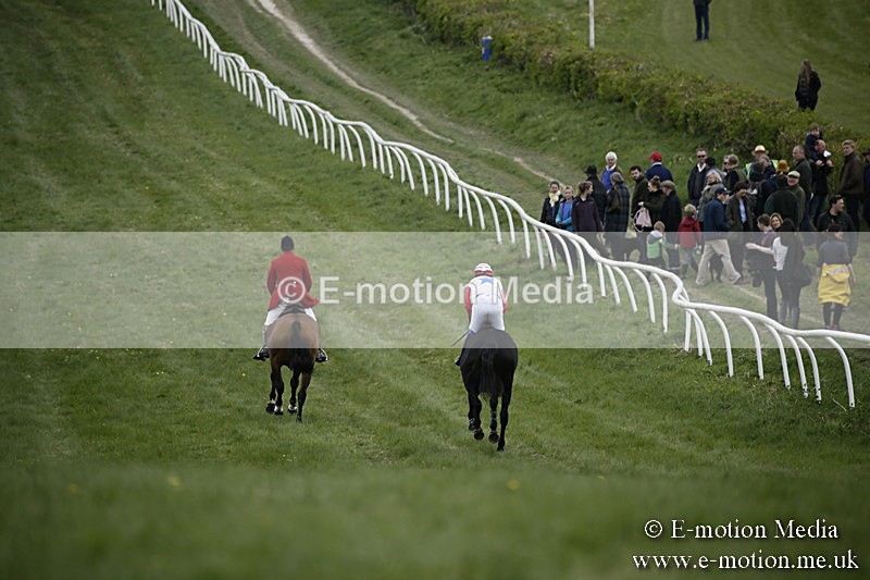 PtP 170417 2 - Old Berks Point-to-Point Lockinge 17/04/17