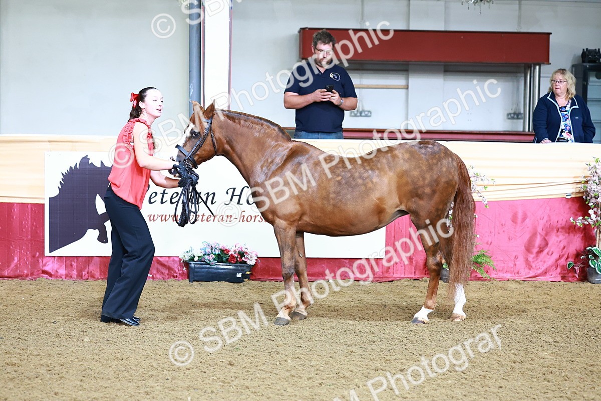 SBM_21696 - Class 901 - Supreme Final - IH  Diamond