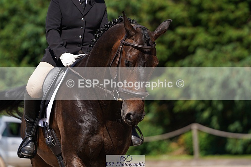 240719-151858-02585 - 129-Julie_Wheeler-Be_My_Scout