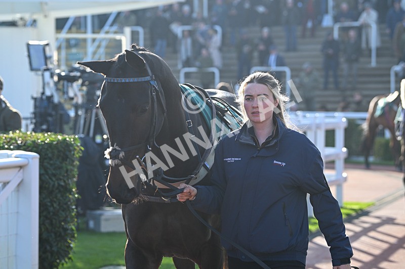 151124-Race 1-Paddock-Victory Club-7023 - Race 1