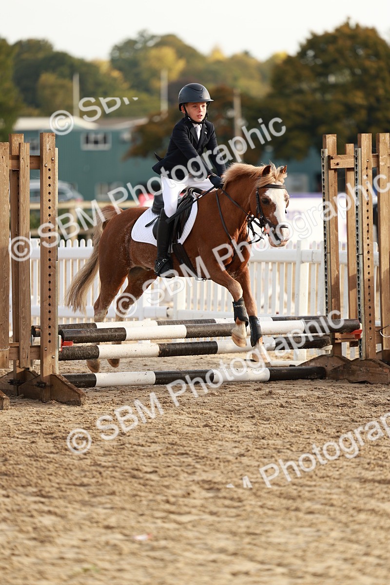 SBM_55527 - J11 - Junior Pony 50cm Championship