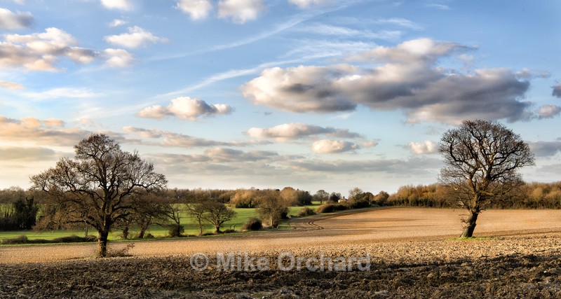 Winter's Day_Cordy's Lane_Felixstowe_Suffolk - Landscapes