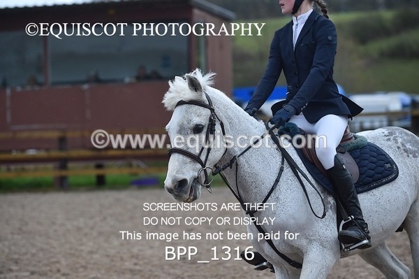 BPP_1316 - CLASS 5 Pony BritiNovice / 0.80m Open