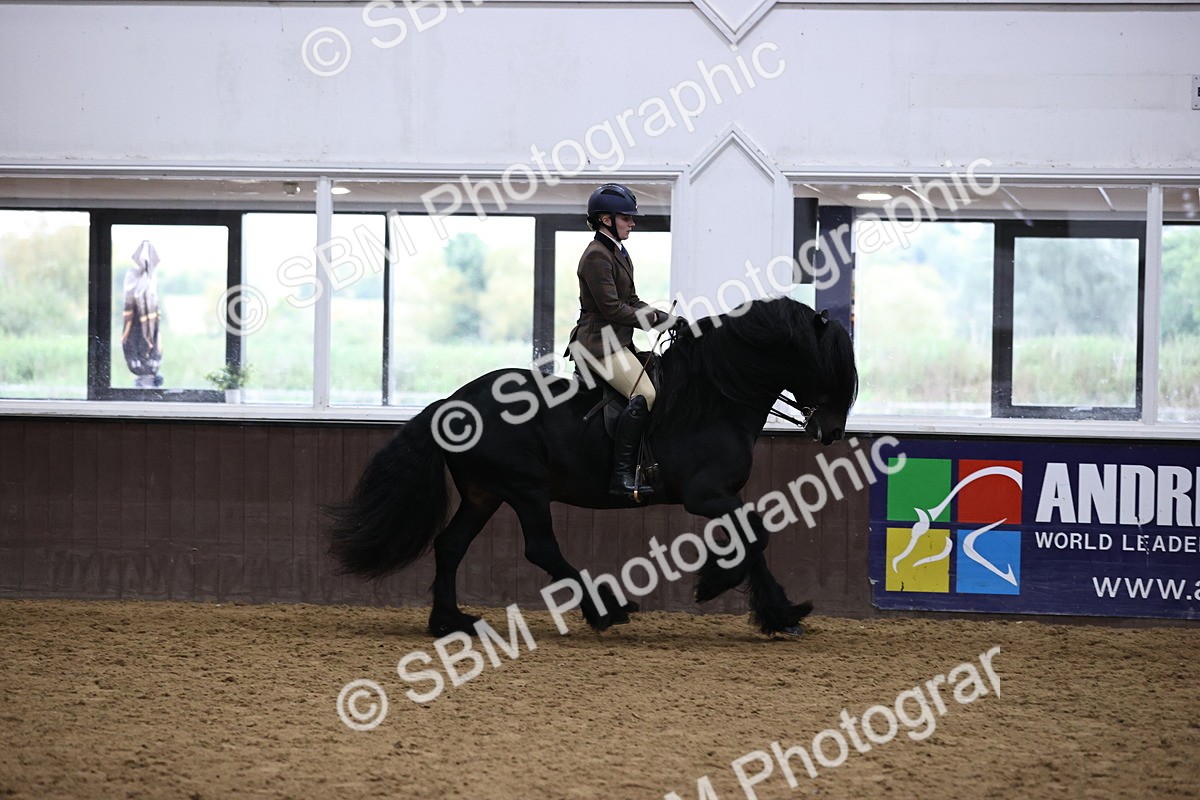 SBM_6536 - Class 43 - Ridden Native Breeds