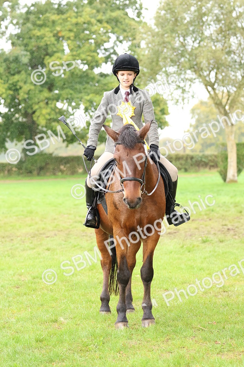 SBM_69751 - S62 - Mountain & Moorland Ridden Large Breeds