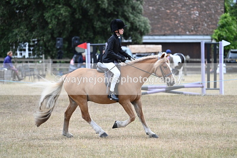 WJ7_7182 - Class 2 Best Rider