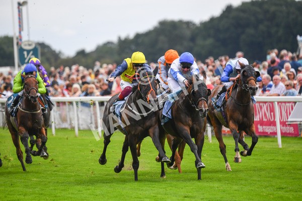 240823-Race 3-Ropey Guest-0379 - Race 3 3.00pm Clipper Handicap