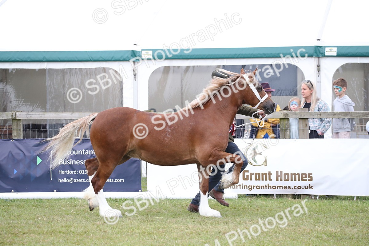 SBM_09762 - Ch 50 - Price Family Supreme In Hand