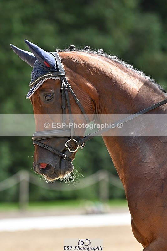 240811-143034-06379 - 231-Louise.Hutchinson-Donnarella