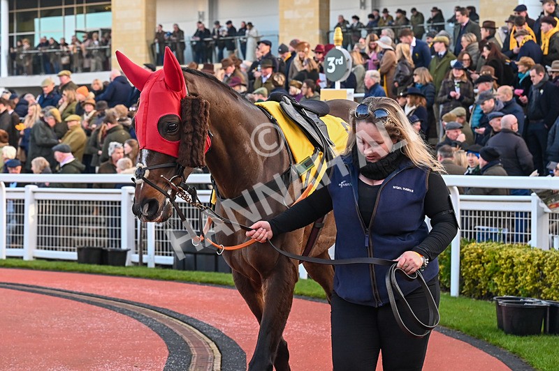 250125-Race 2-Torrent-3051 - Race 2