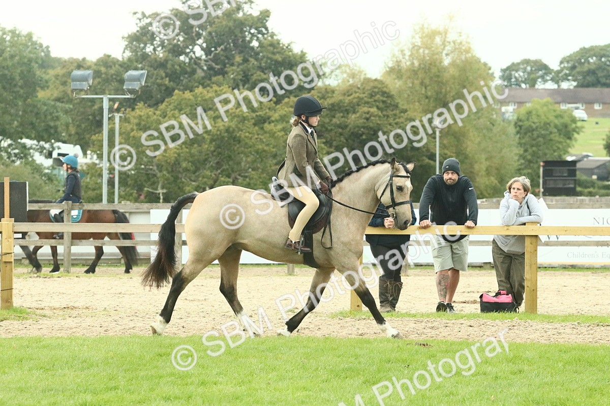 SBM_73995 - S 61 - Show Pony & Show Hunter Pony Ridden