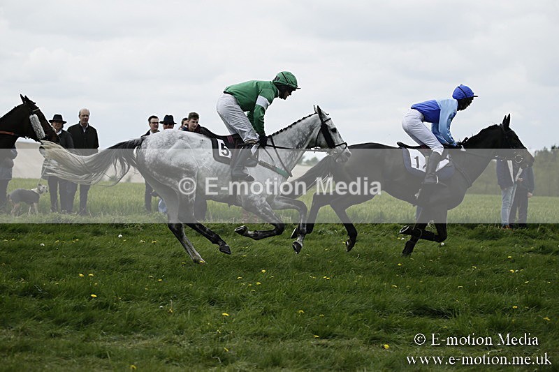 PtP 170417 84 - Old Berks Point-to-Point Lockinge 17/04/17