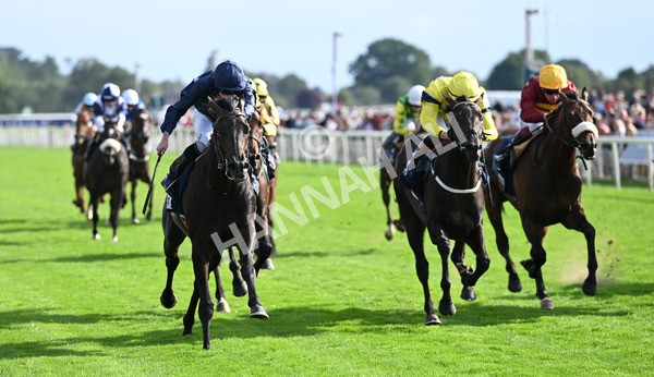220825-243 Frescobaldi - Race 6 4.45pm British Stallion Studs EBF Convivial Maiden Stakes