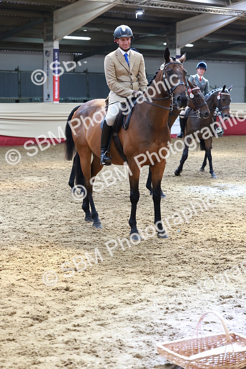 SBM_14975 - Class 108 - Ridden Retired Racehorse