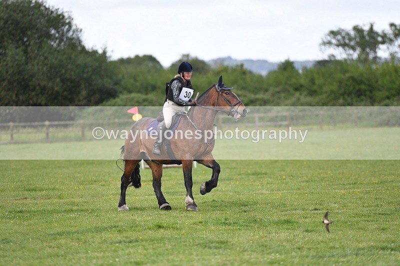 WJ5_3198 - Class 4 60cm