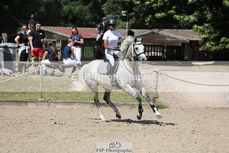 250703A-105436-01126 - Cls 6 Snr British Novice and 90cm Open