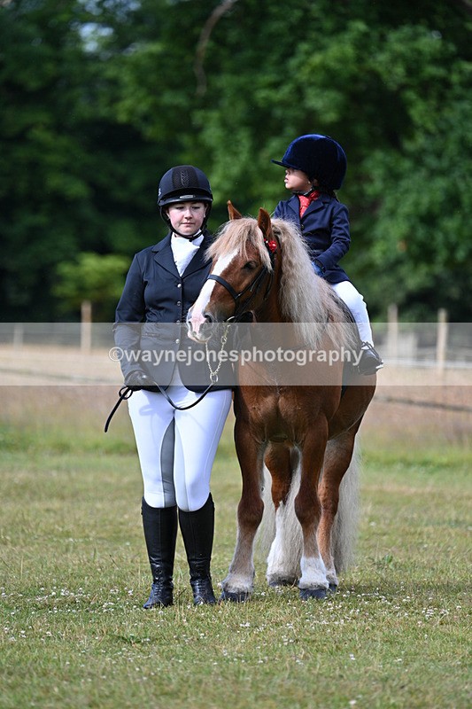 WJ7_4532 - Class 1 Lead Rein Pony