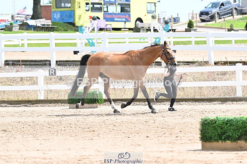 240717A-144553-02272 - Trot Up 2pm to 3pm - This folder is not in time order