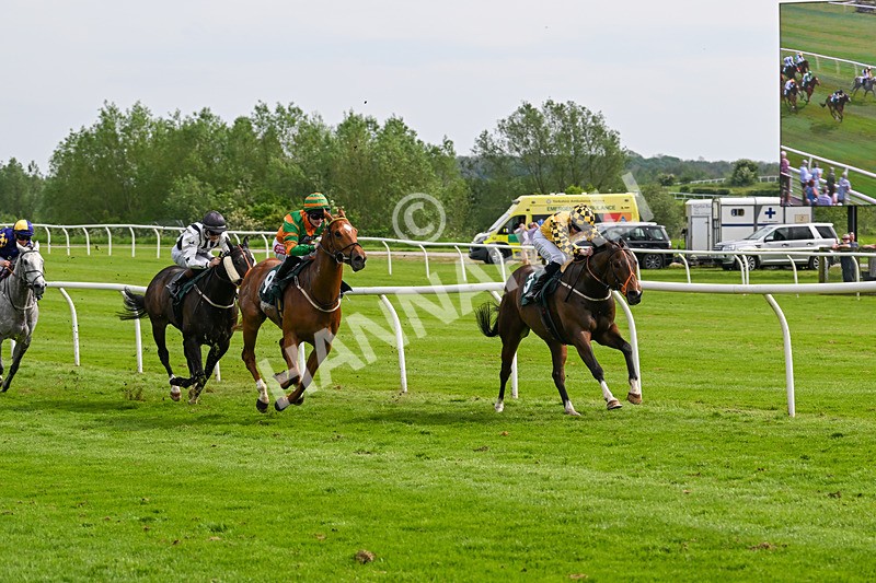 130524-Race 5-Sherdil-0588 - Race 5