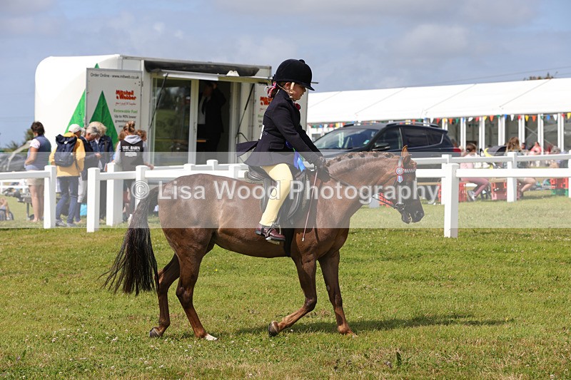 1X9A3798 - Class 30: First Ridden SP/SHP