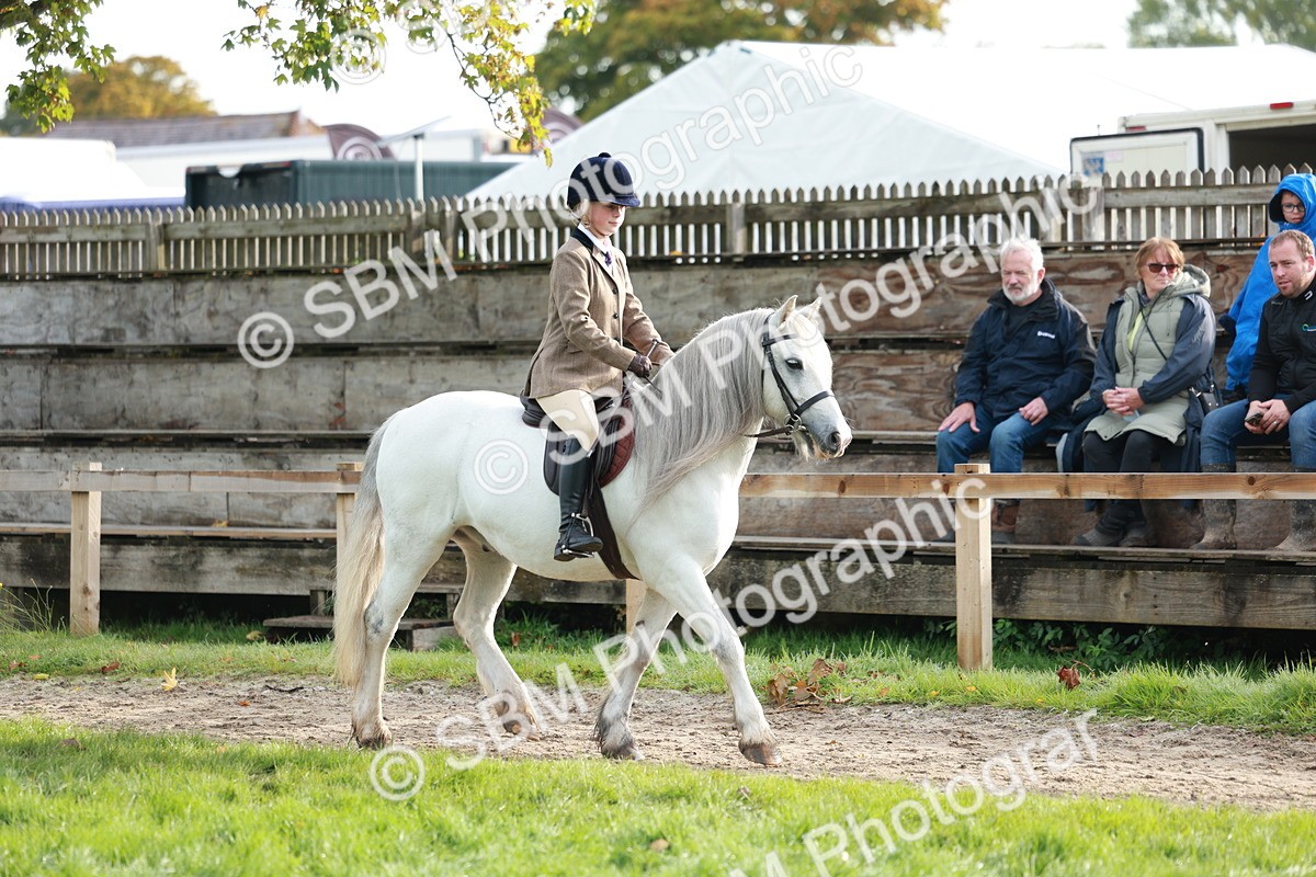 SBM_56351 - S39 - Starters In Hand Showing