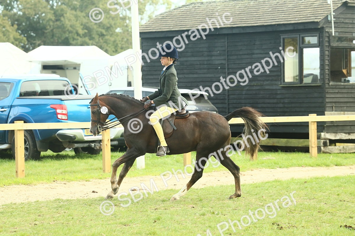 SBM_68072 - S57 - Part Bred Pony Ridden