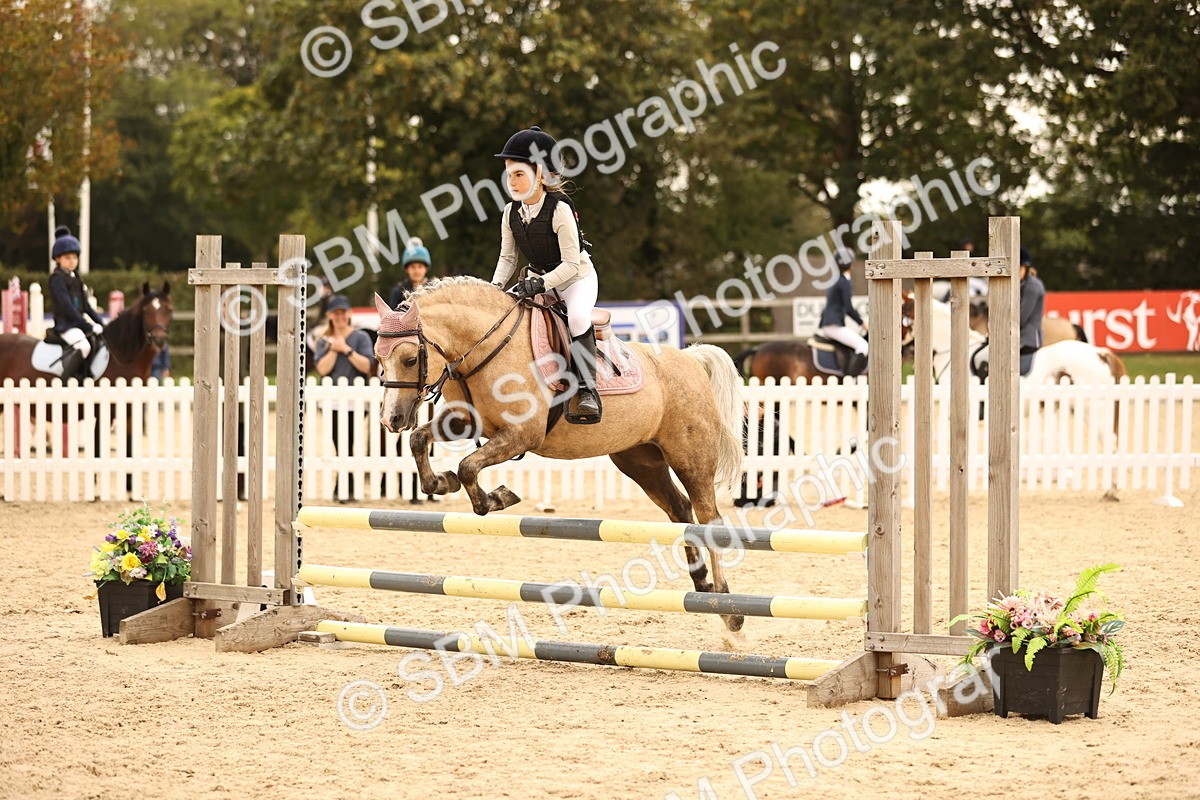 SBM_72695 - J14 - Junior Pony 65cm Championship