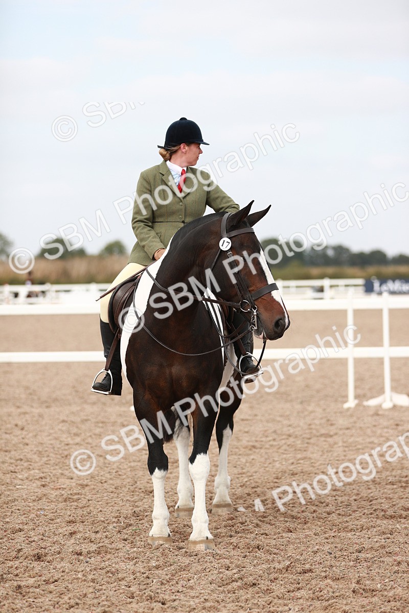 SBM_16757 - Class 214 Ridden Cob