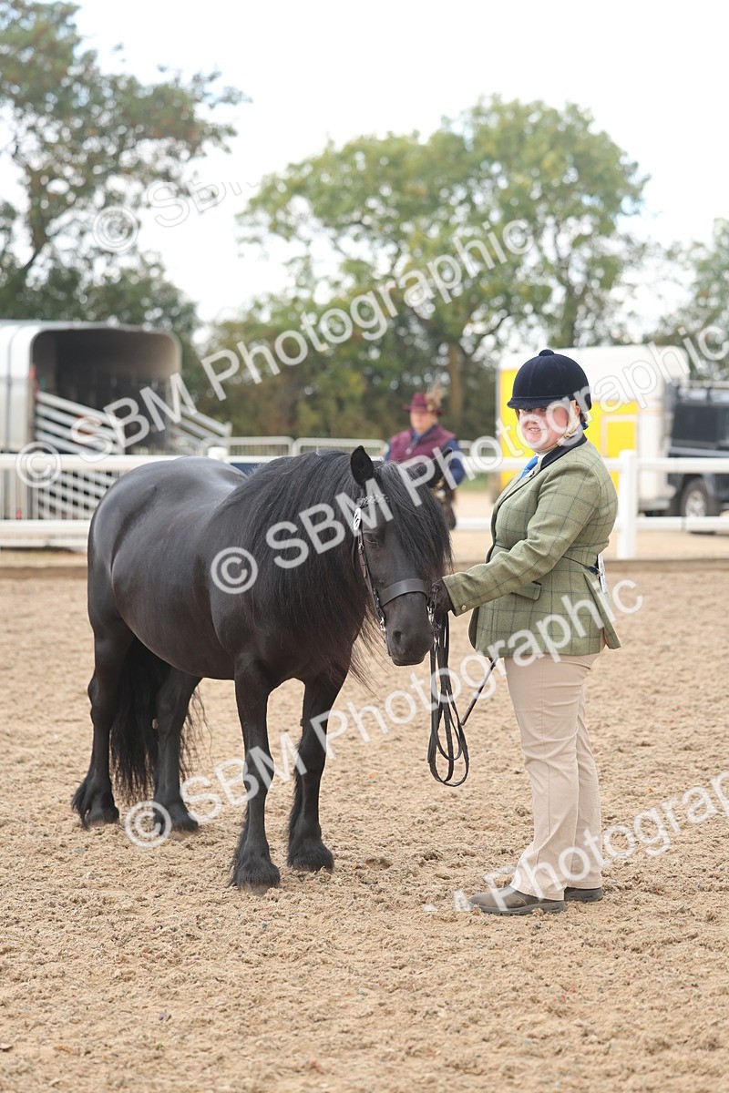 SBM_03249 - Class 16 - IH M&M Wildcard