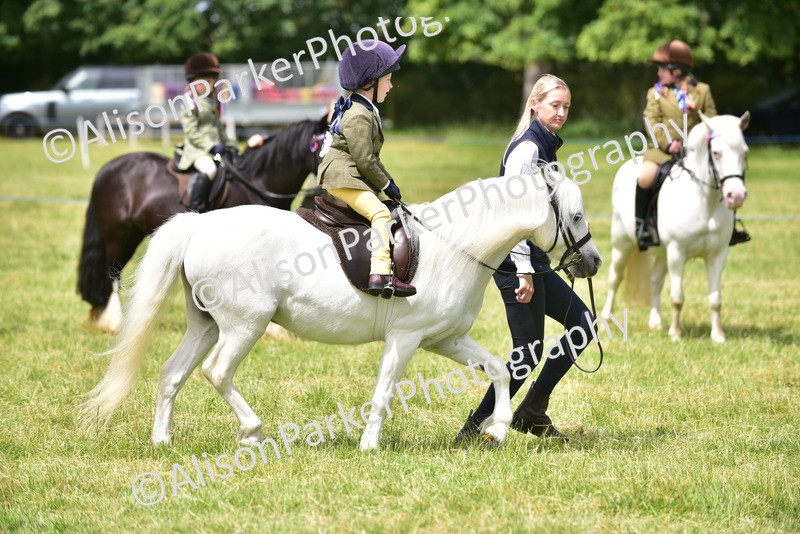 20260614-3648 - Class 15 - Prettiest Mare