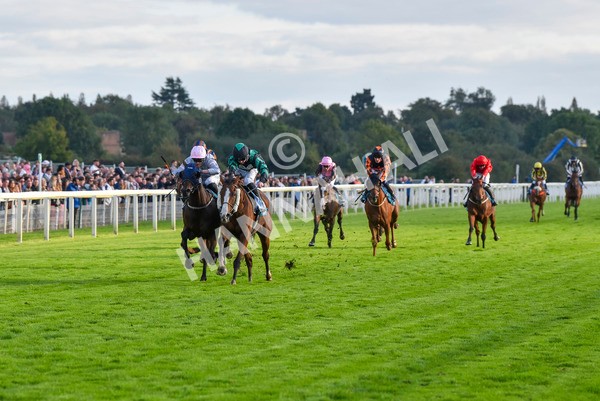 230923-Race 6-September Power-7009 - Race 6 4.55pm New To York Rio Brazilian Handicap