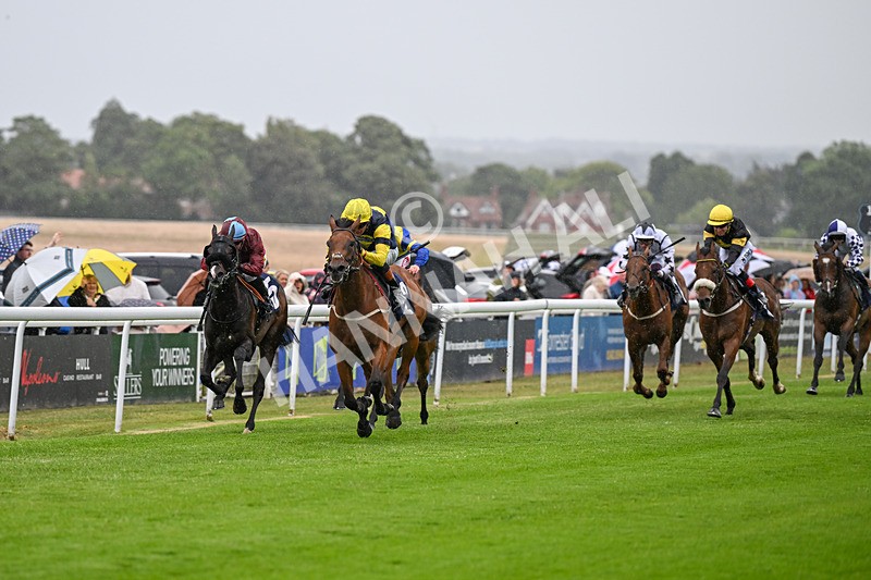 040725-Race 3-Orbaan-4660 - Race 3