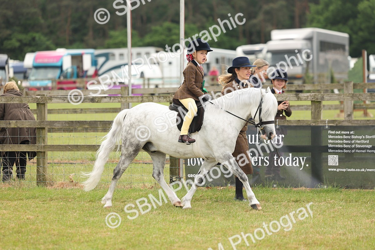 SBM_06841 - Class 74-75 - M&M Lead Rein and First Ridden Pony