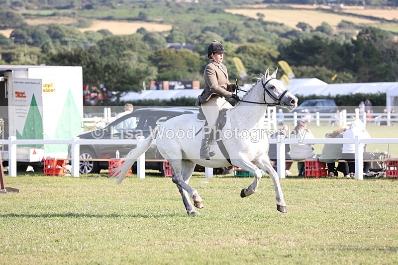 JPP_3380 - Class 22: Working Hunter 90cm