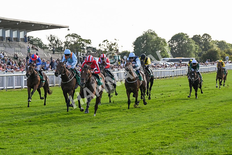 160824-Race 3-Force And Valour-9065 - Race 3