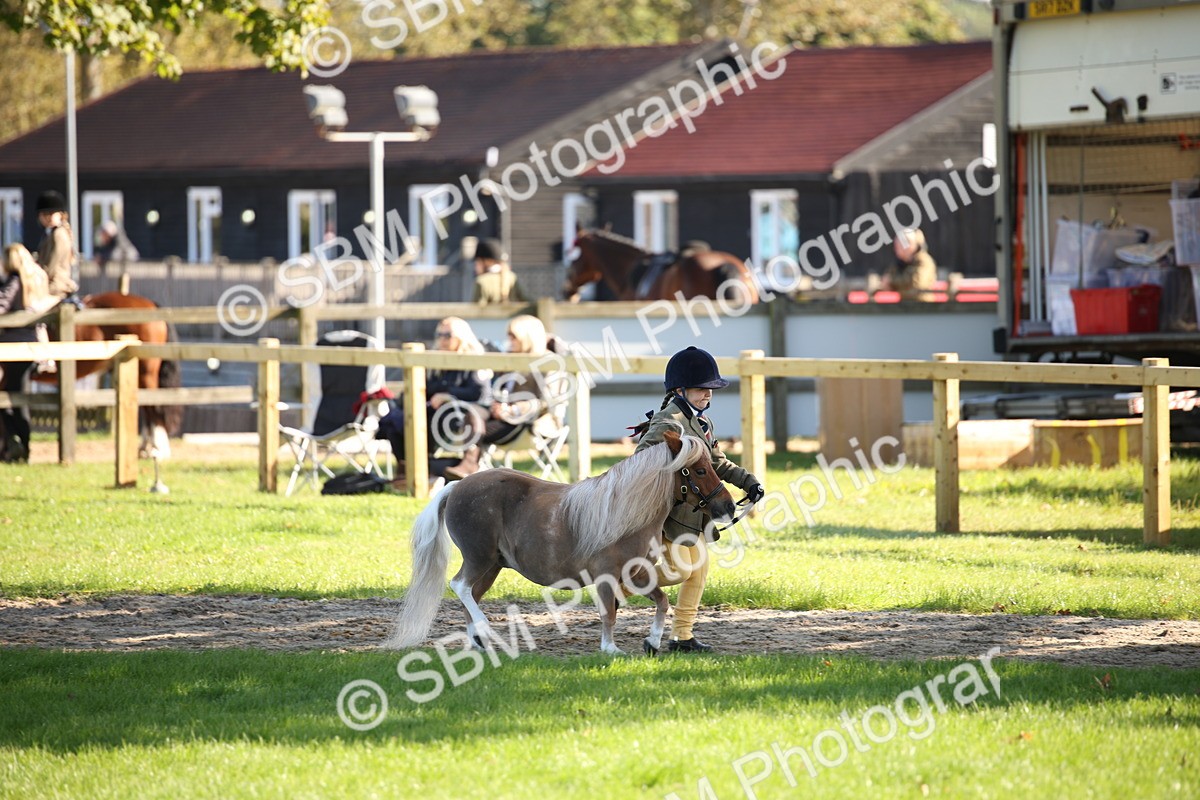 SBM_36544 - S10 - Best In Hand Horse & Pony