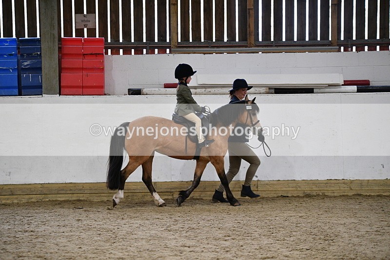 WJ5_6696 - Class 10 Childs Pony