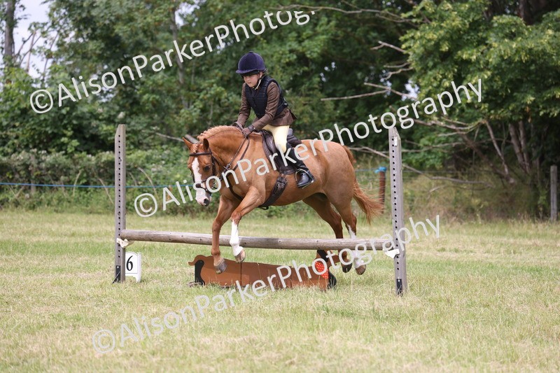 20260614-2885 - Class 22 - Open Working Hunter