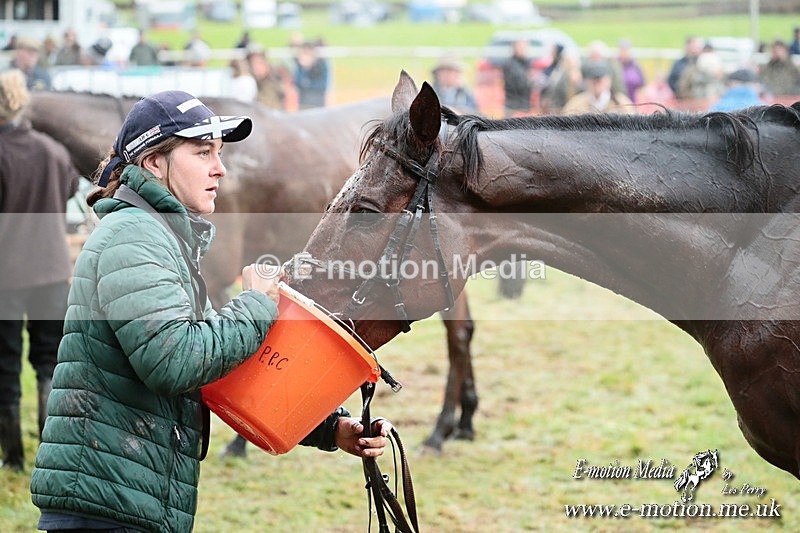 PtP 091125  0636 - Point-to-Point Wales Area Club Lower Machen, Gwent 09/11/25