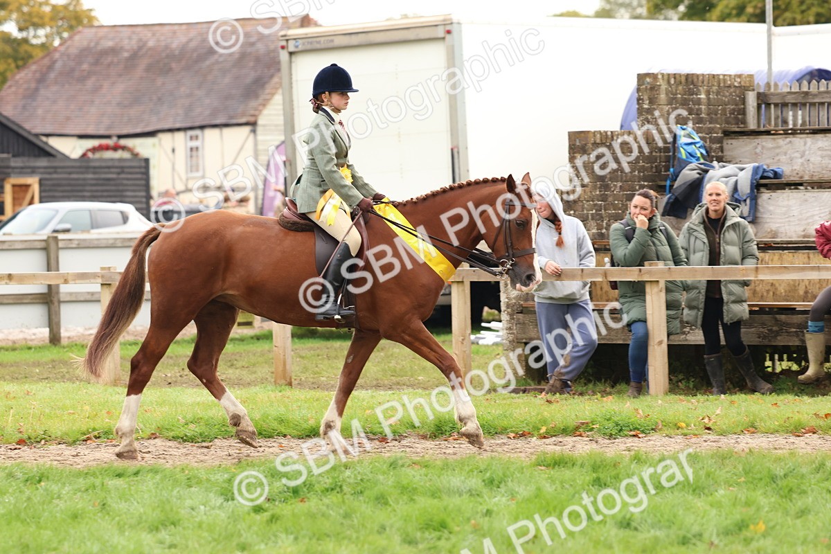 SBM_59758 - Start Supreme Championship