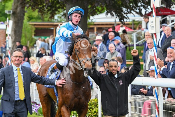 150525-Pride Of Arras-4771 - Race 4 3.45pm Al Basti Equiworld Dubai Dante Stakes