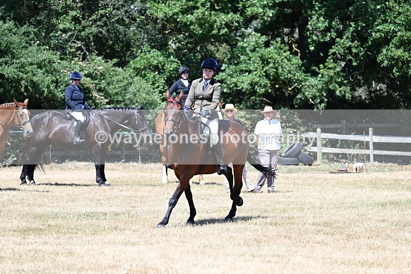 WJ7_3081 - Class 7 Riding Club Show Horse