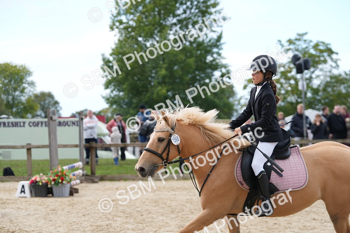 SBM_40029 - J6 - Junior Pony 55cm Championship